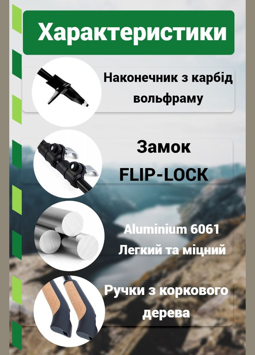 Палки для скандинавской ходьбы 9111 Lykke Green 80-135 см (пара) + 2-е пары сапог + чехол PowerPlay (320676461)