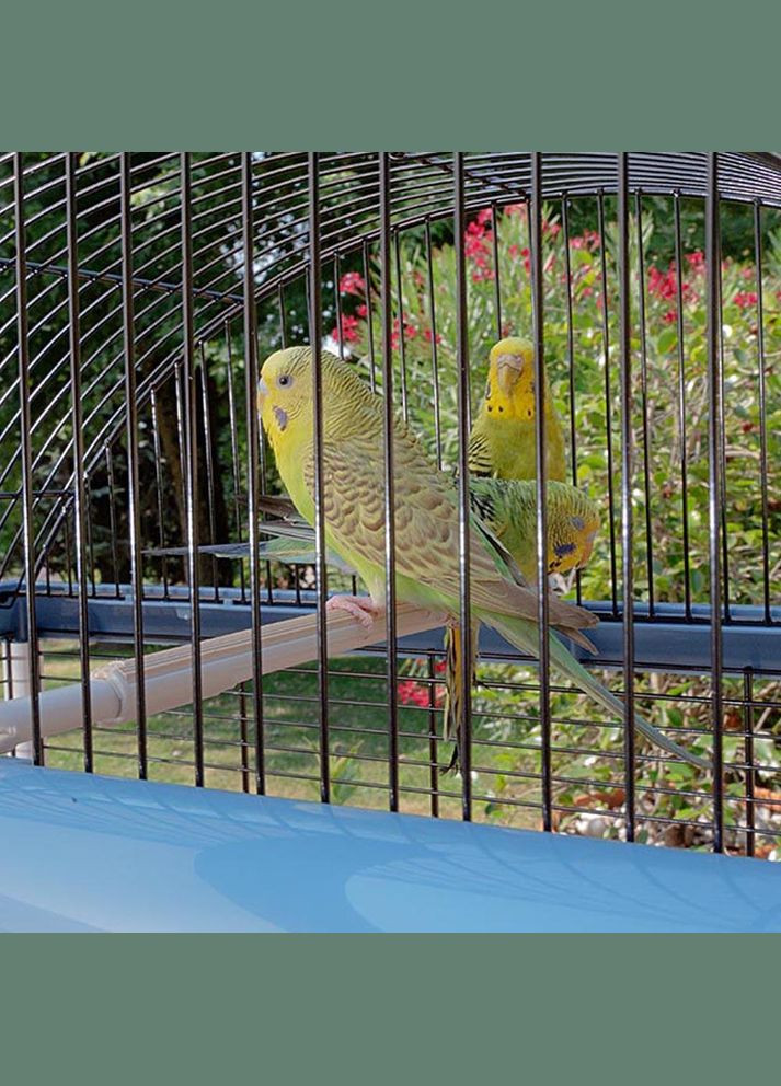 Клітина для канареї, папуг і маленьких птахів Palladio (Ферпласт Палладіо) 33 х 59 x h 69 см - 4 Ferplast (297512336)