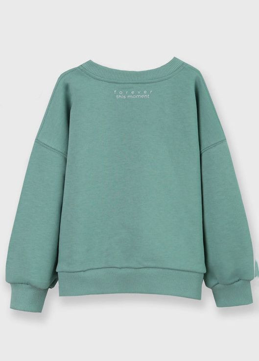 Світшот дитячий Фламинго (305391630)