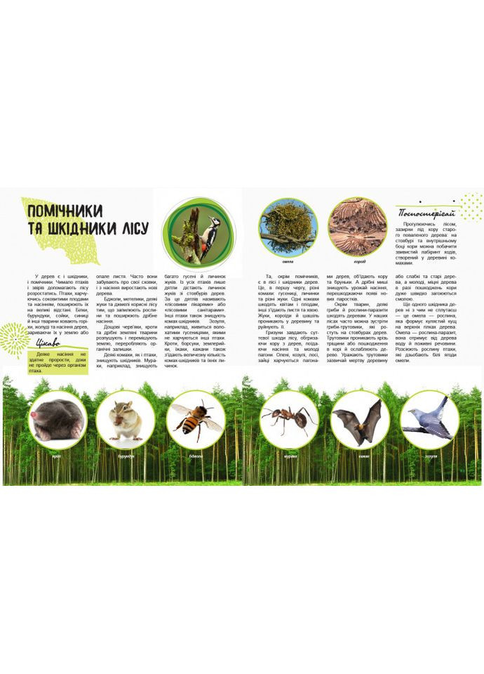 Детская книга "Мир и его тайны: Жизнь леса" 740002 укр. языке Ranok Creative (365249764)