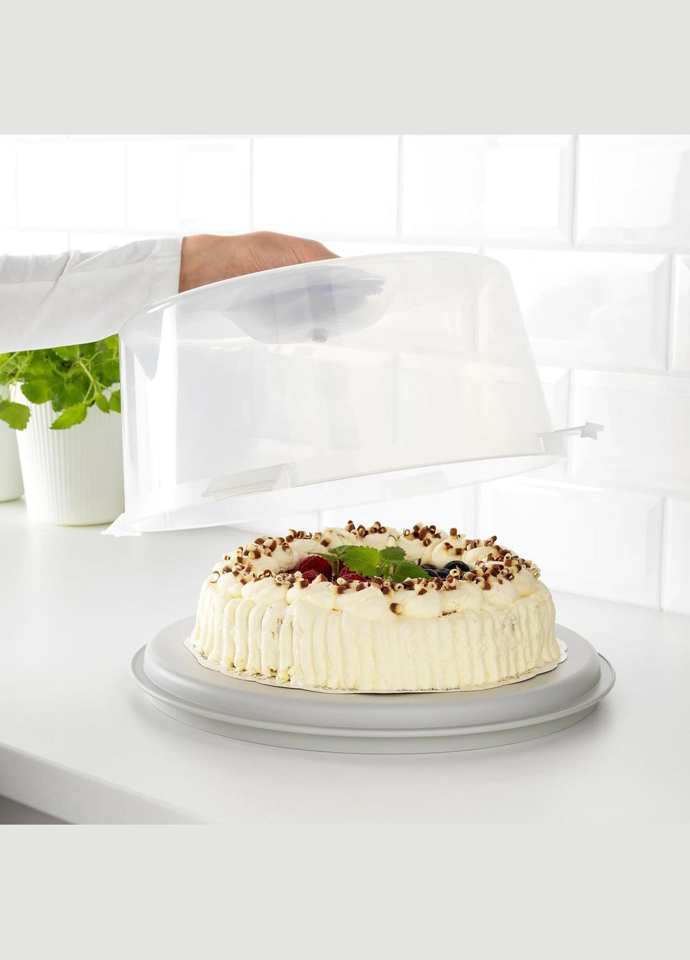 Контейнер для торта ІКЕА KRISPIG 36 см (20336407) IKEA (284667000)