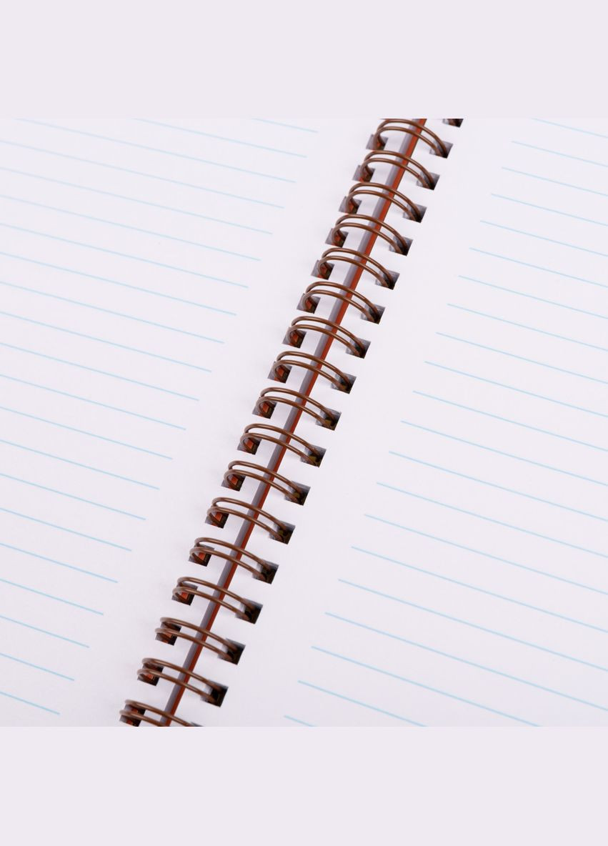 Зошит А4 Line Friends Sally 765736 80 аркушів Yes (364492261)