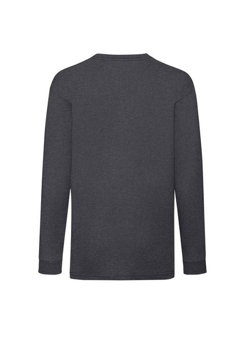 Темно-серый демисезонный повседневный, кэжуал лонгслив Fruit of the Loom однотонный