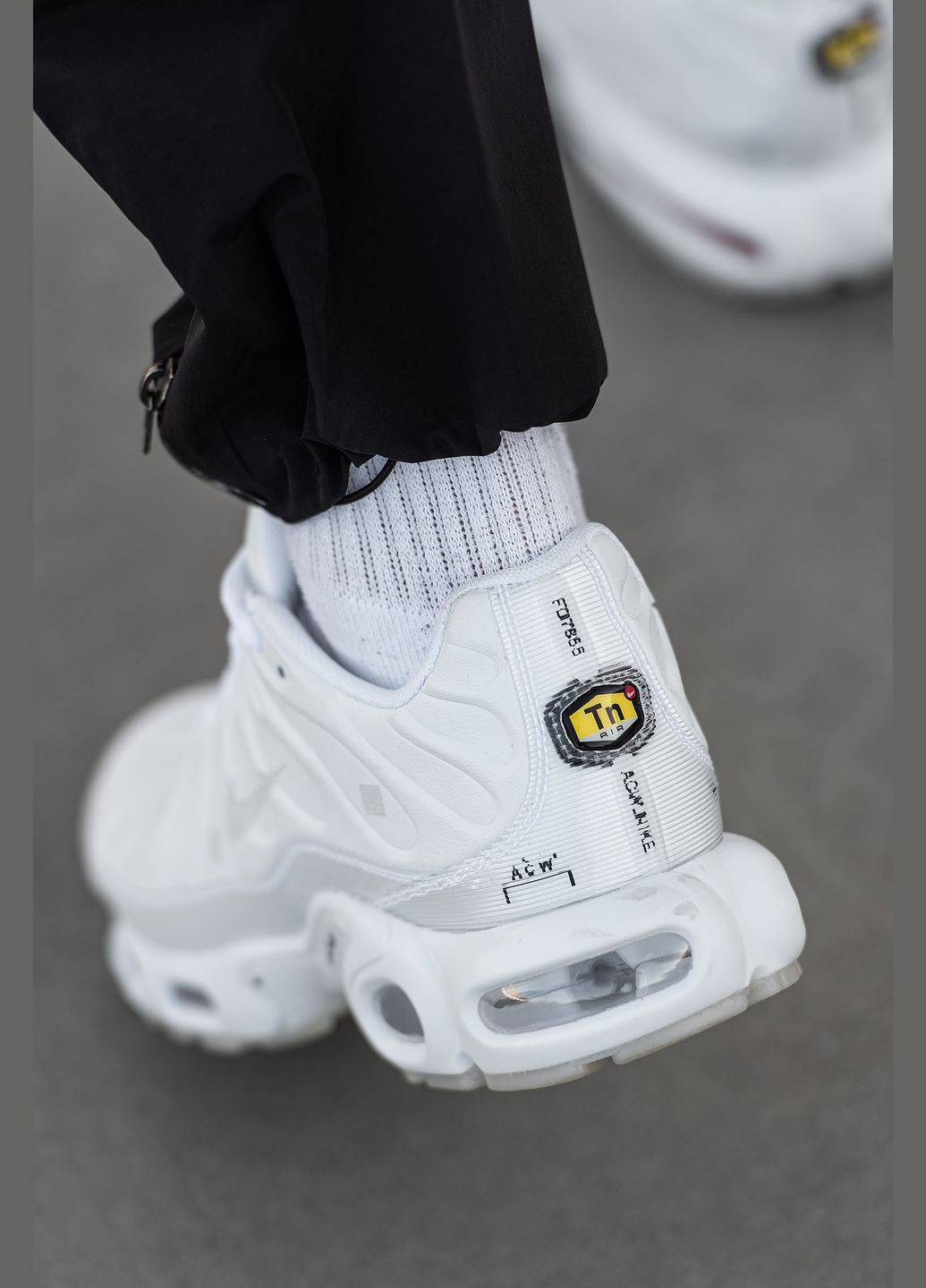 Белые демисезонные кроссовки мужские Nike Air Max TN Plus