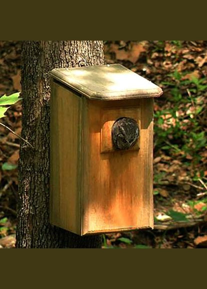 Будиночок для сови з дерева Олсі сієна (ДСО-001205) No Brand (328606144)