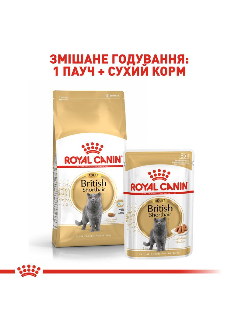 Сухий корм для дорослих кішок British Shorthair Adult 10 кг (3182550756464) (2557100) Royal Canin (279566313)
