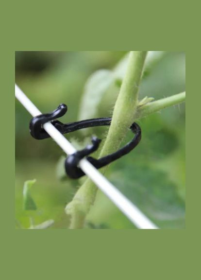 Зажим-крючок для подвязки виноградной лозы, 100шт. (2,5-3,2мм) No Brand (330823683)