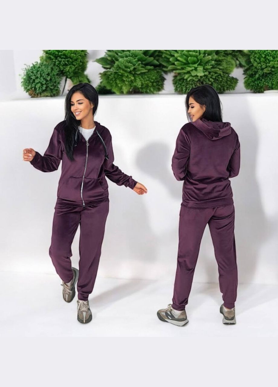 Спортивний костюм “Велюр на флісі” No Brand (307389614)