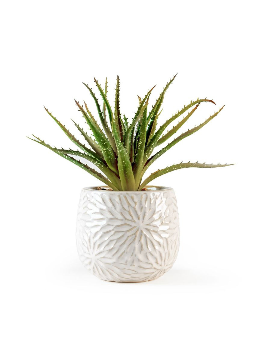 Штучна рослина в горщику MY HOME Зелений/бежевий (DHFLOWERS-13 GREEN/BEIGE) MVM (301084635)