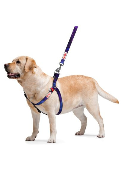 Шлея для собак Nylon з QR-паспортом "NASA21" S (4800-0148) WAUDOG Nylon з QR-паспортом &quot;NASA21&quot; S (366695654)