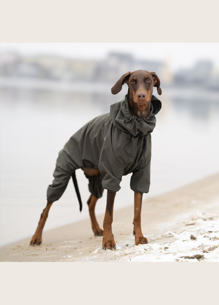 Комбінезон Travis Khaki (T4123/M) Noble Pet (363057881)