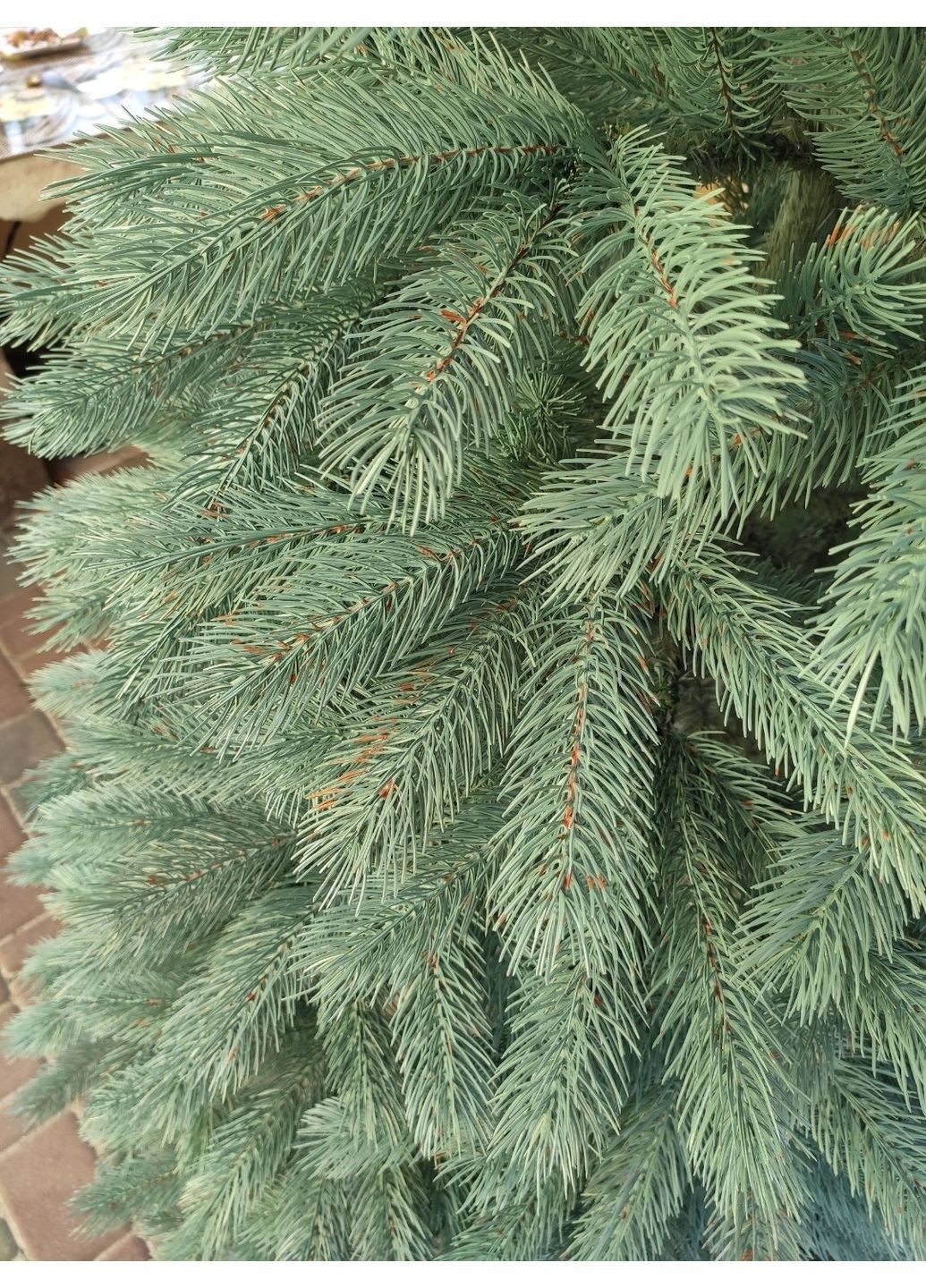 Буковельська лита блакитна ялинка No Brand (364264880)