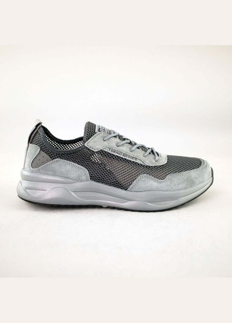 Сірі кросівки чоловічі сітка Baas