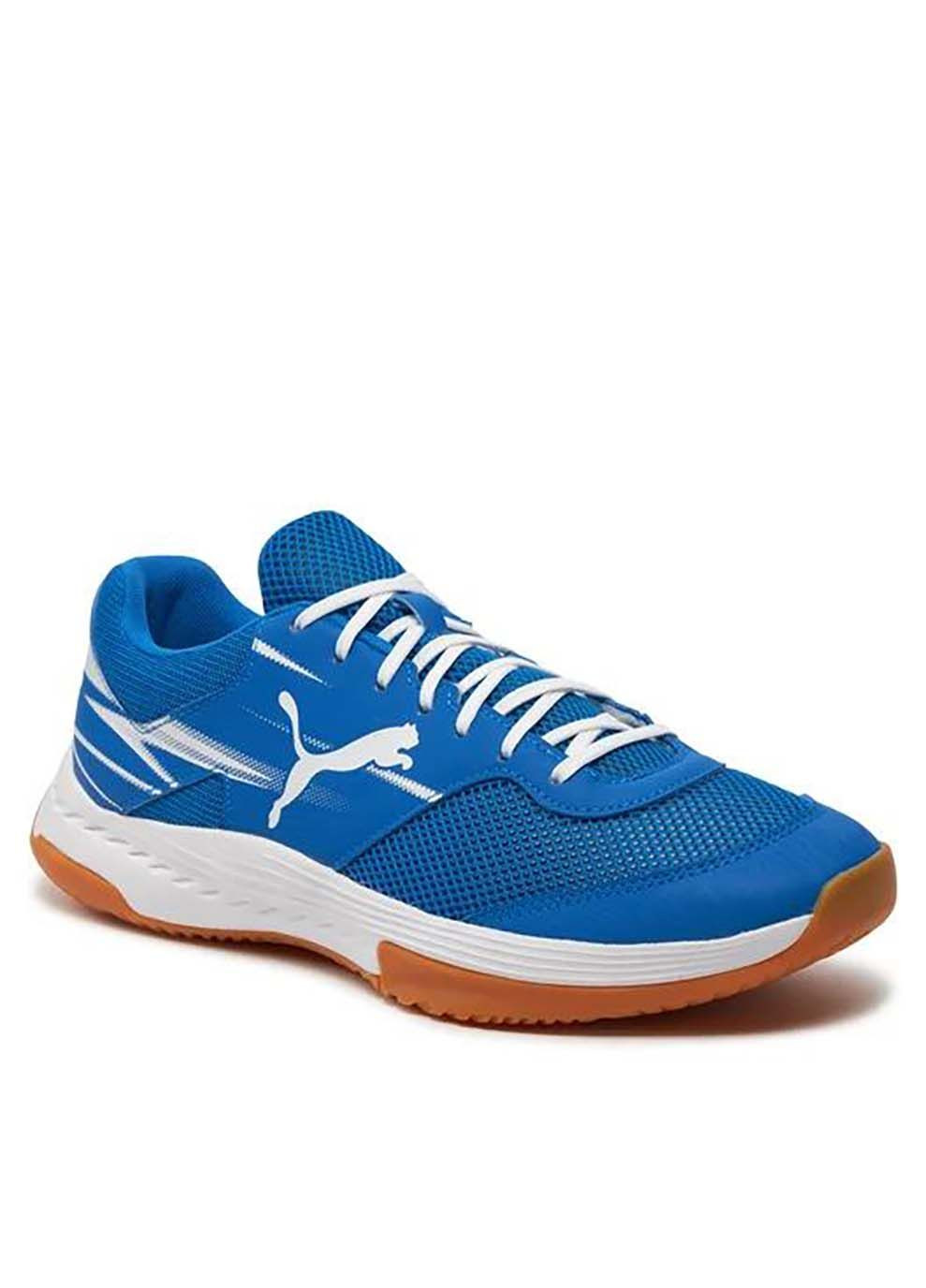 Синие демисезонные кроссовки varion ii indoor sports shoes синий мужские Puma