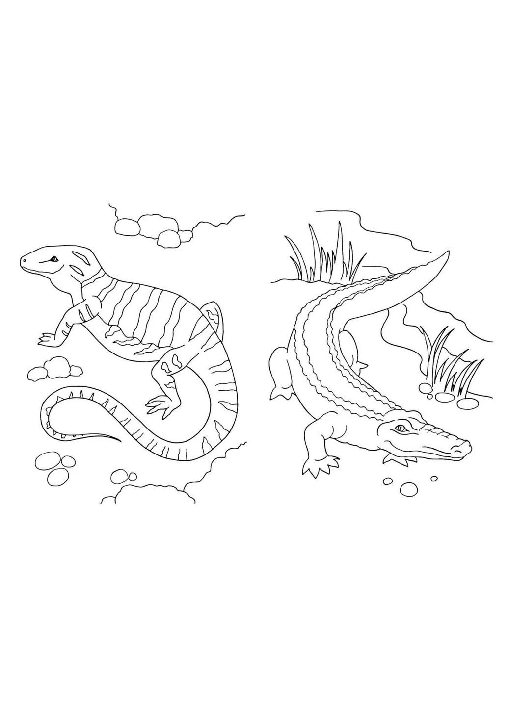 Велика книга розмальовок. Тварини РАНОК (370075913)