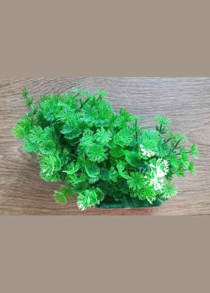 Растение пластиковое водоросли М632М636 16 см зелёное 1 Aquatic Plants (278309343)