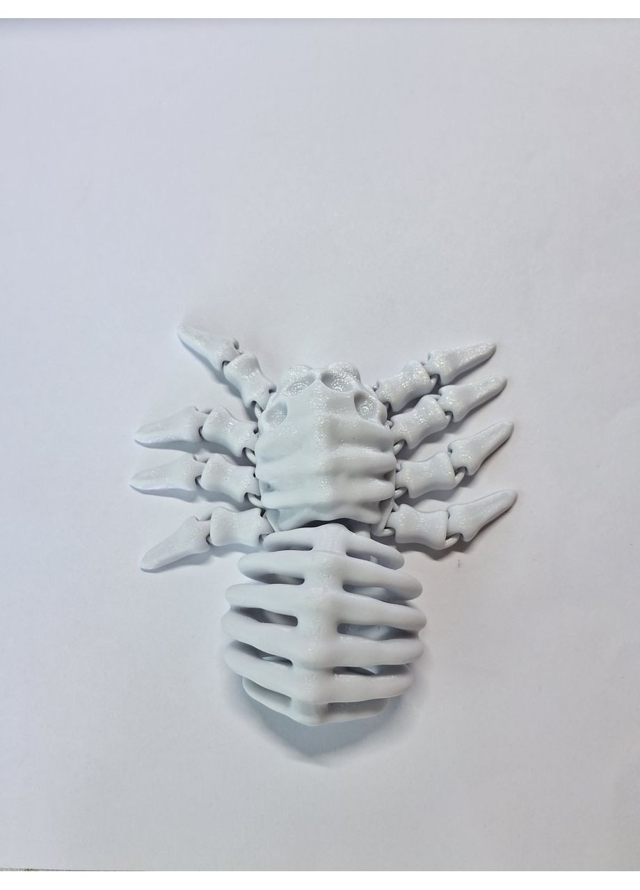 🕷️ Рухливий скелет павука - 3D іграшка No Brand (372185975)