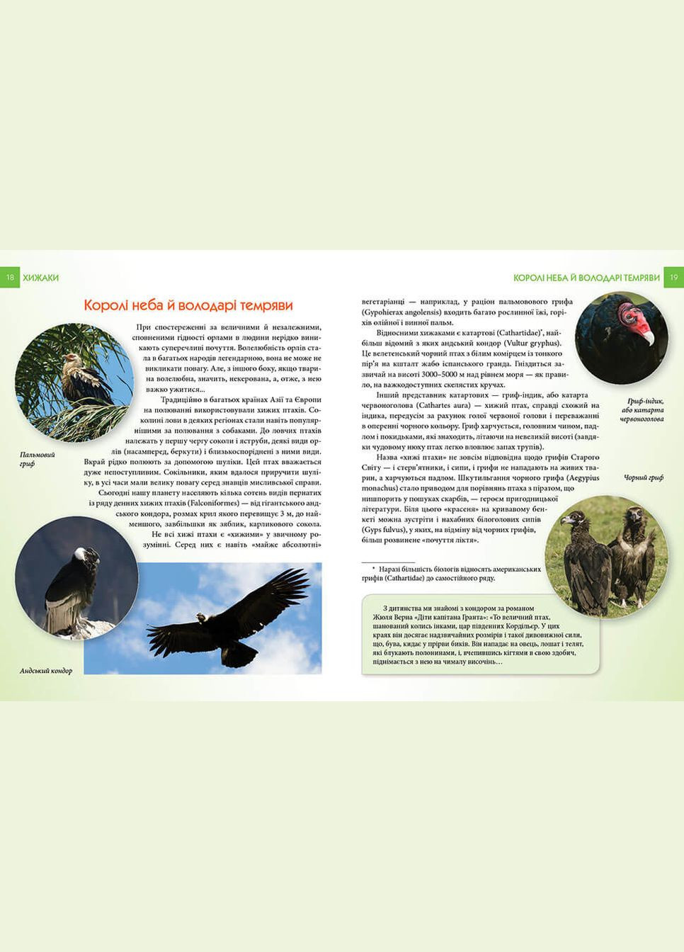 Хижаки. Гапченко Андрій Талант (349839093)