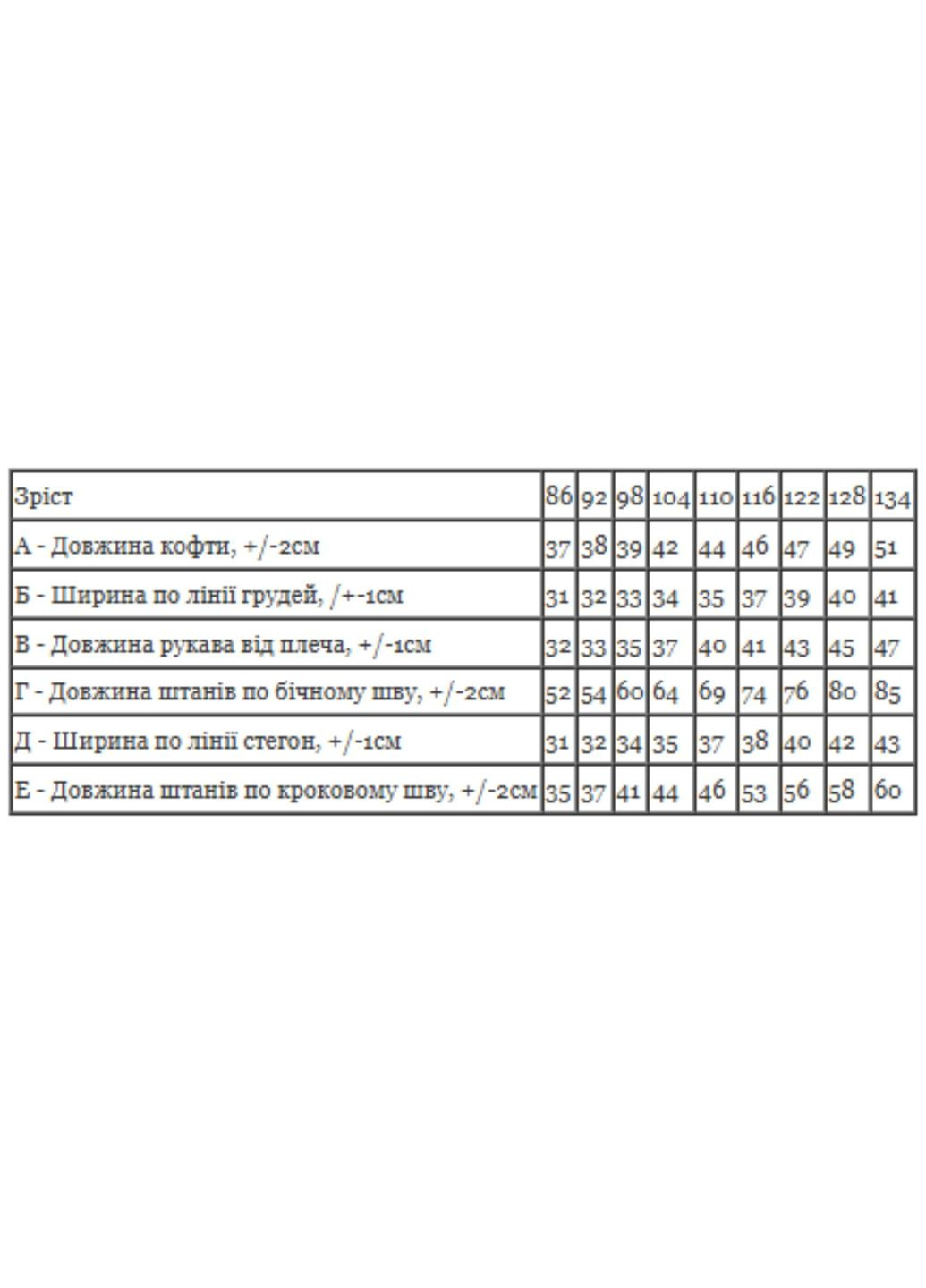 Графітова зимня тепла принтована махрова піжама для хлопчика (толстовка та штани) (p-8670) Носи своє