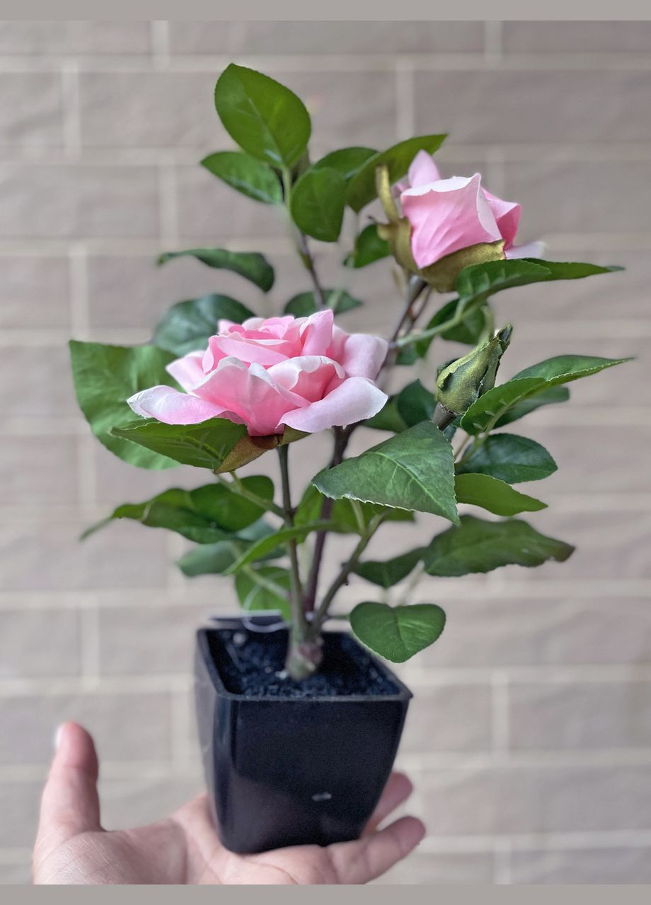 Троянда рожева штучний кущ в горщику 29 см HVOYA (328606281)