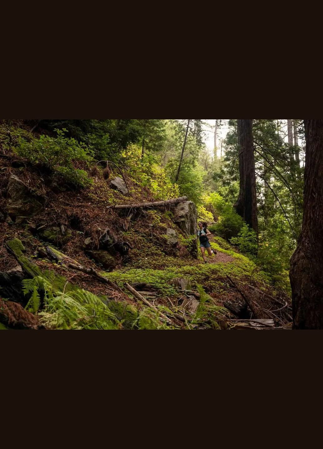 Рюкзакжилет Ultimate Direction Ultra Vesta M No Brand (316438291)