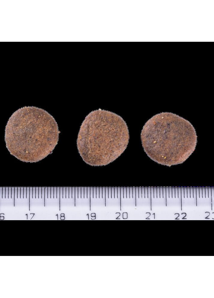 Сухой корм Dog Grain-free Senior & Light для стареющих собак, беззерновой с лососем, 1 кг Brit Care (362702762)