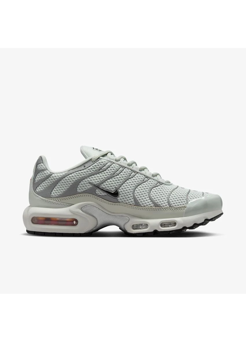 Кроссовки Air Max Plus Grey FV8480-002 Nike серые демисезоны (398005900)