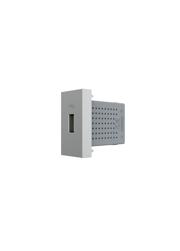 USB розетка 5V 2.1A, сіра, 10Вт, з блоком живлення, модуль 0.5 поста (VL-FCUA-1IP) Livolo (370970795)