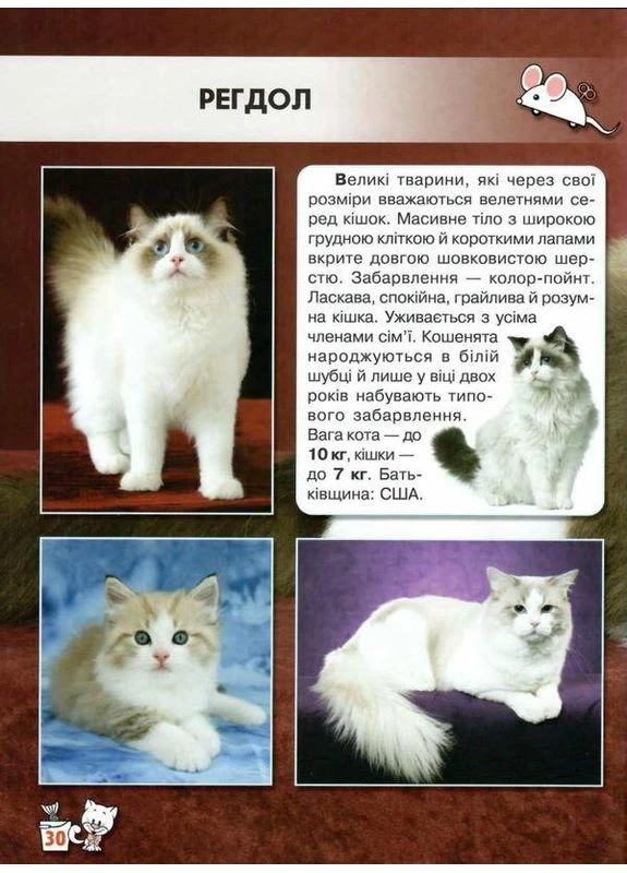 Книга Кішки Світ навколо нас Кристал Бук (384317981)
