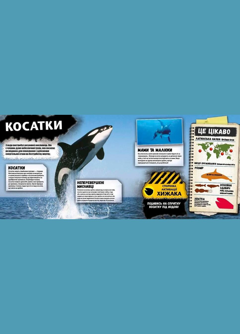 Хищники. 2 сорт (приложение не работает) No Brand (330634173)