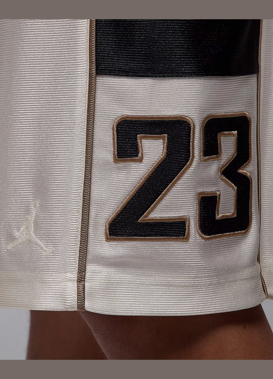 Шорты мужские Brooklyn Cat Scratch HV0560-133 белые Jordan (335425037)