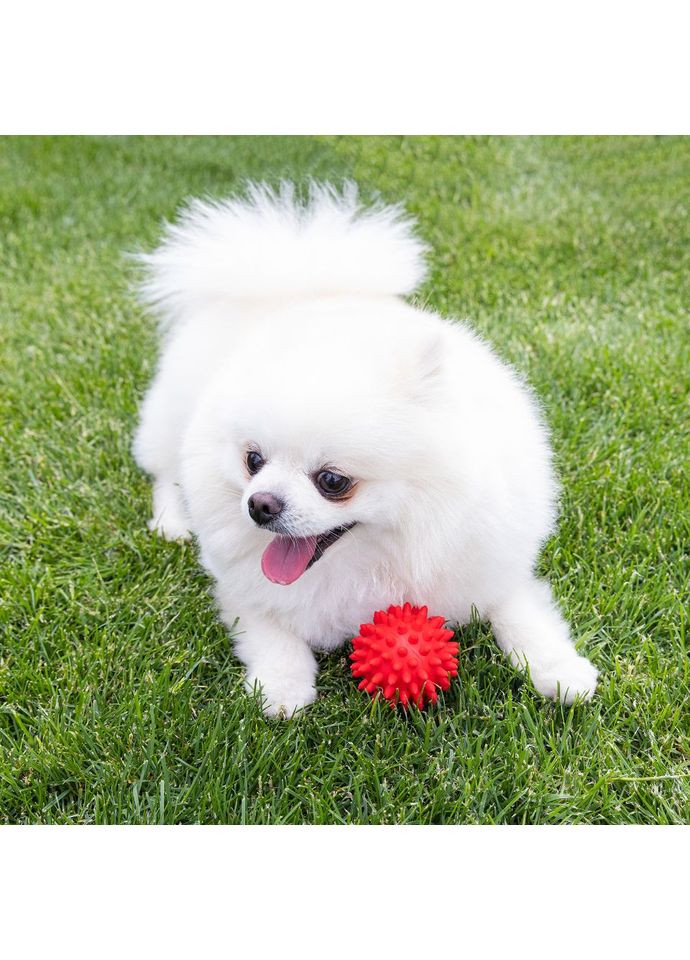 Іграшка для собак та котиків, м'яч із шипами (гольчастий м'ячик для котів, кішок) ПВХ 6 см (R-00009) OSPORT (370709372)