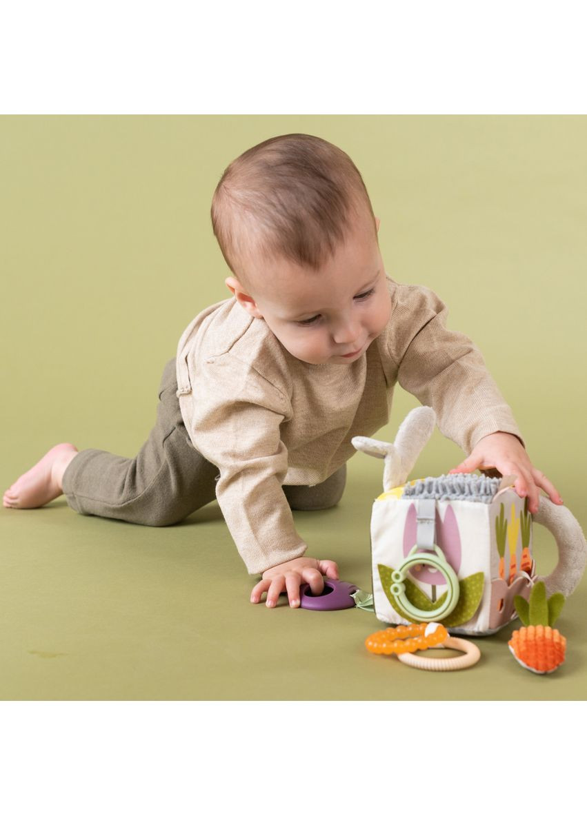 Розвивальна іграшка-кубик колекції Садик у місті — Їжачок і бурячок Taf Toys (342753287)