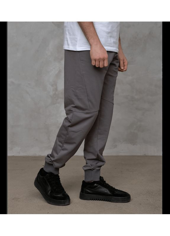 Темно-серые демисезонные прямые брюки Hector