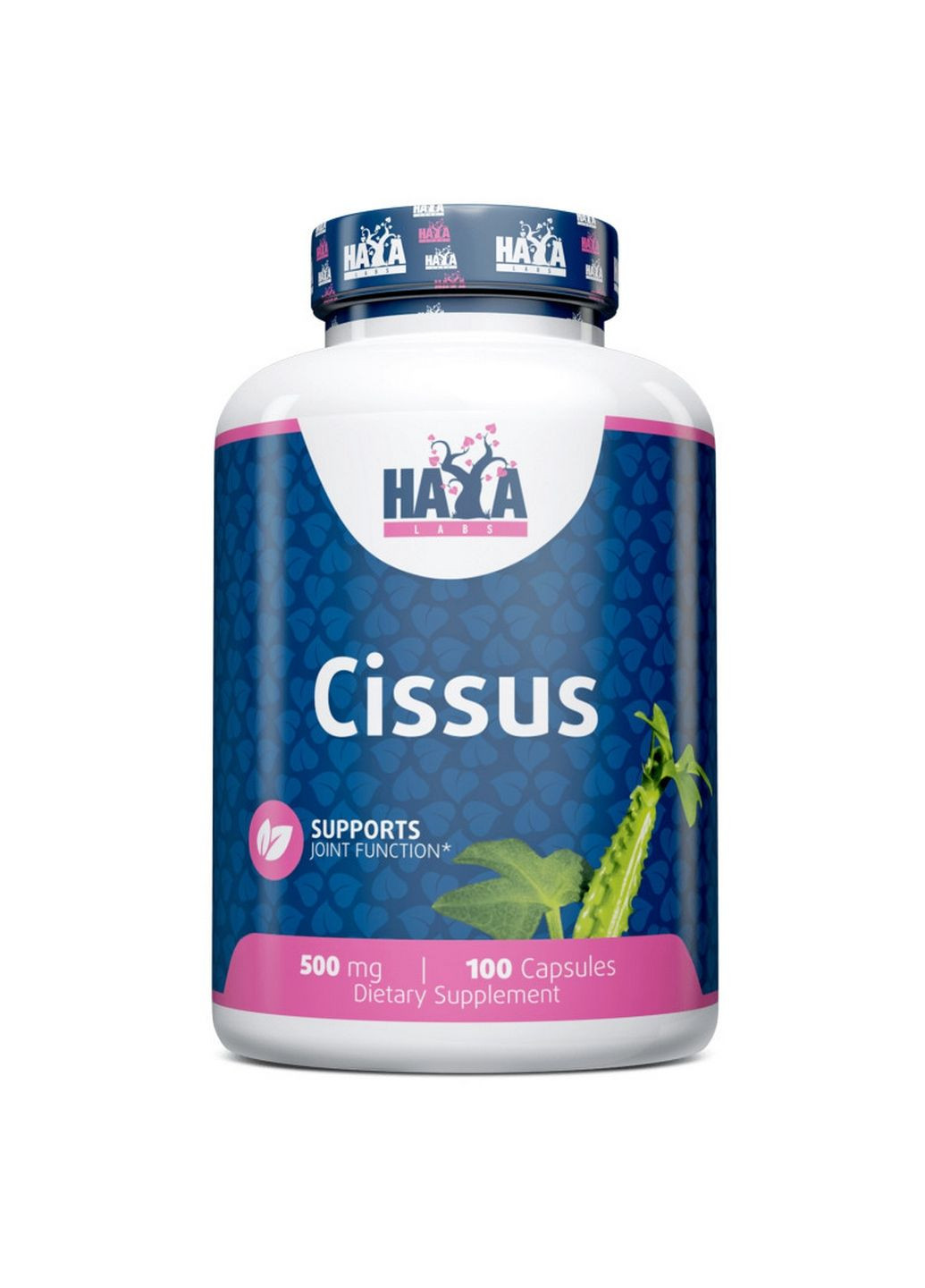 Натуральна добавка Cissus 500 mg, 100 капсул Haya Labs (293418395)