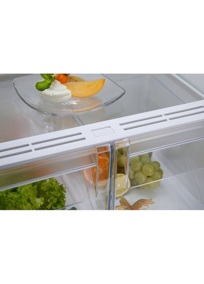 Вбудований холодильник RNT6NE18S Electrolux (338378374)