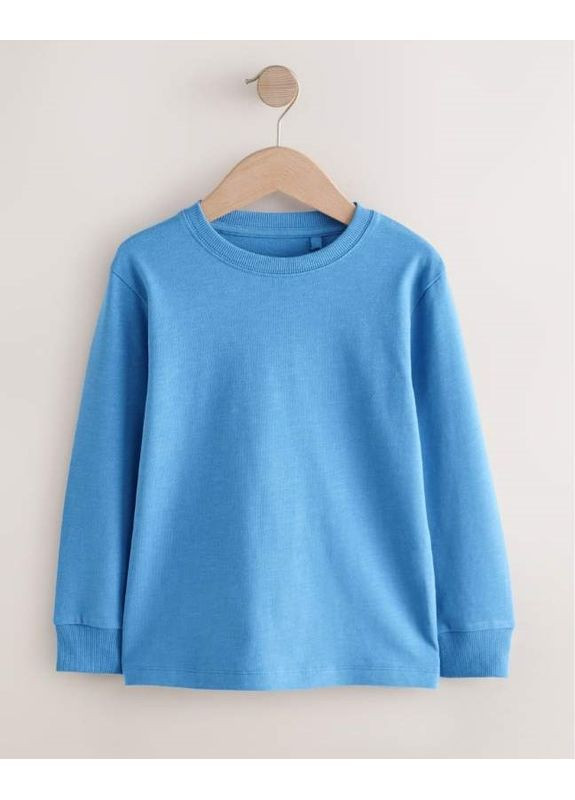 Разноцветный демисезонный лонгслив Next Trend