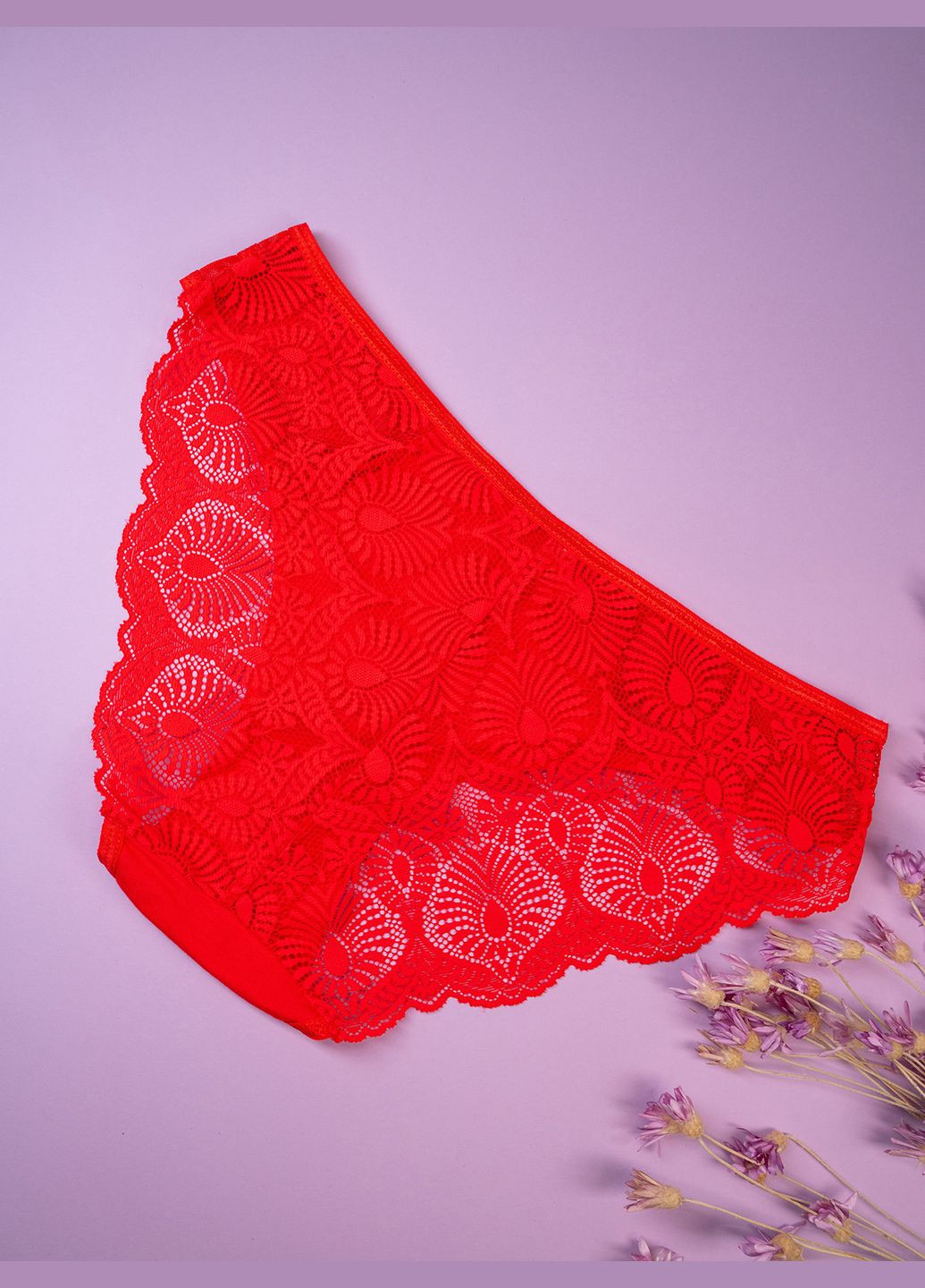 Жіночі труси Magnet BL3-127 (298794454)