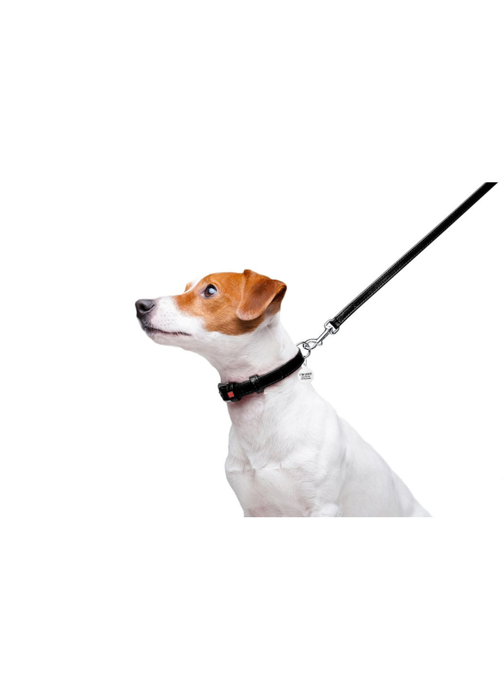 Поводок для собак кожаный Glamour, Ш 12 мм, Дл 122 см черный WAUDOG (322124894)