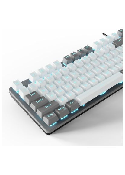 Клавиатура F3287 Keycap KRGD Blue USB RU White/Grey (6948391240688) Aula f3287 keycap krgd blue usb ua white/grey (278312031)