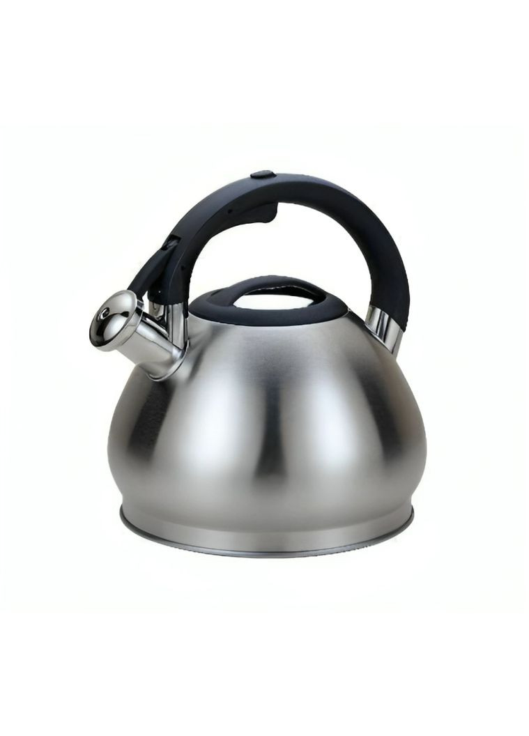 Чайник зі свистком з нержавіючої сталі 3,5 л (EB1974) Edenberg (264660130)