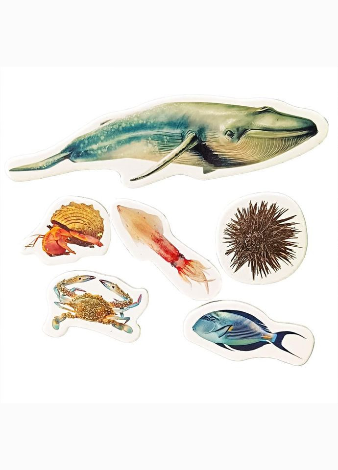 Детский набор магнитов "Жители морей и океанов" ML4032-27 в наборе 6 магнитов No Brand (339778420)
