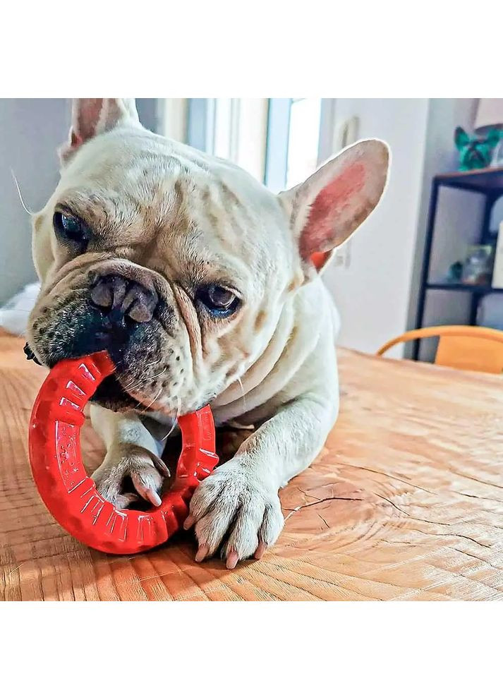 Жевательная игрушка для собак с кристаллами бикарбоната Smile (Ферпласт Смайл) Ø 12 x 2,4 cm - S, Ferplast (352166048)