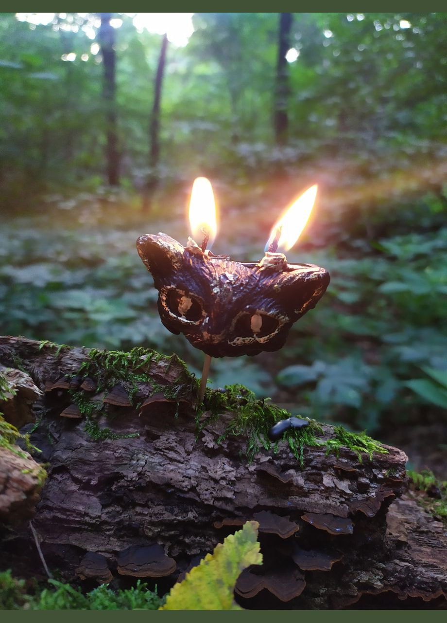 Свічка воскова свічка чорна "Котик рогатий" No Brand (331288894)