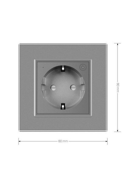 Радиоуправляемая (дистанционная) розетка с пультом, серая, с заземлением и защитными шторками, управление со смартфона, Livolo (371777030)