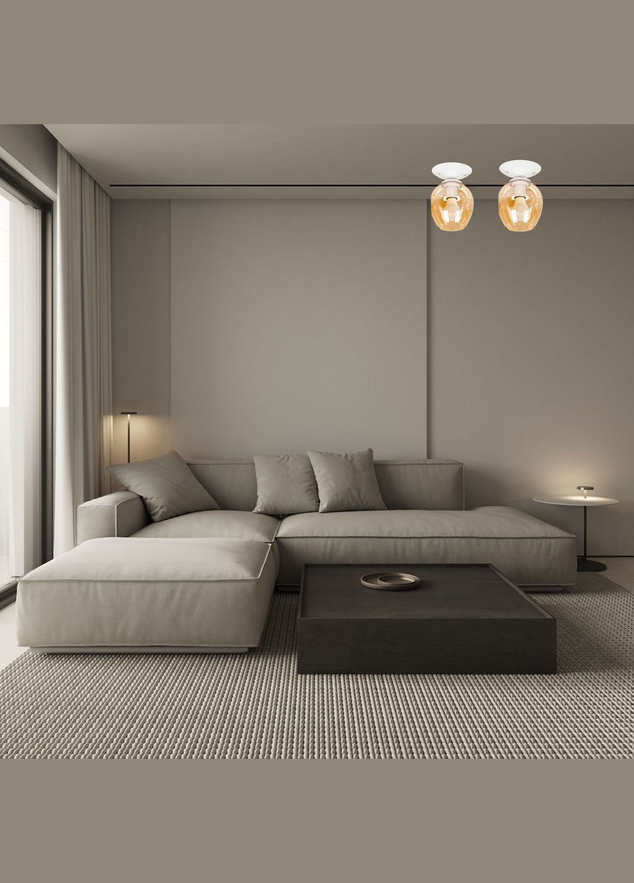 Потолочный стеклянный светильник (56-XPR0231F-1 WH+BR) No Brand (370069601)