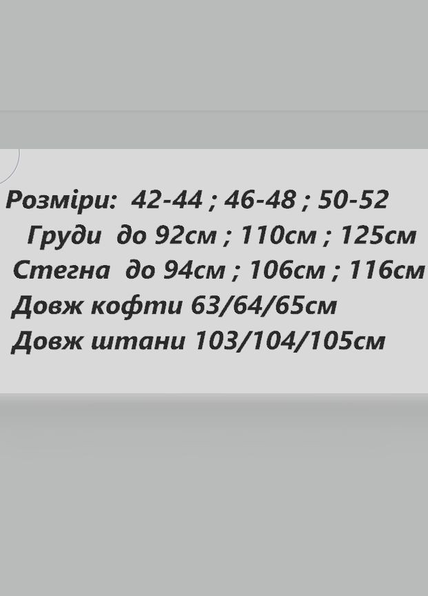 Велюровий спортивний котсюм Худі oversize+прямі штани Nositi (317633380)