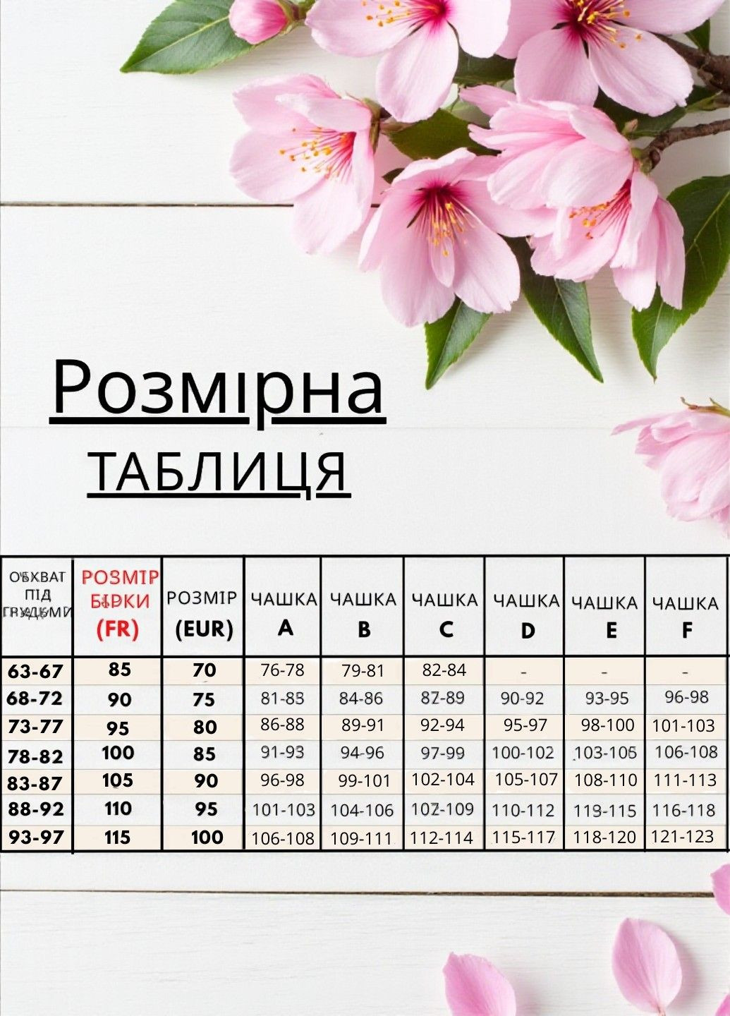 балконет мереживний бюстгальтер rosme FS з кісточками поліамід