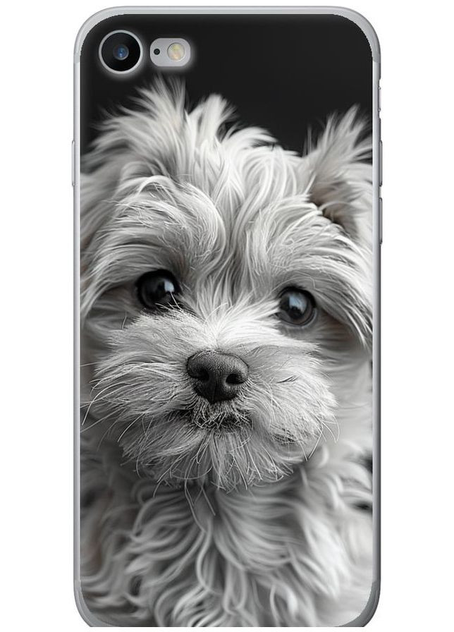 2D пластиковый чехол 'Мальтипу на чорном фоне' для Endorphone Apple iPhone 8 (297661889)