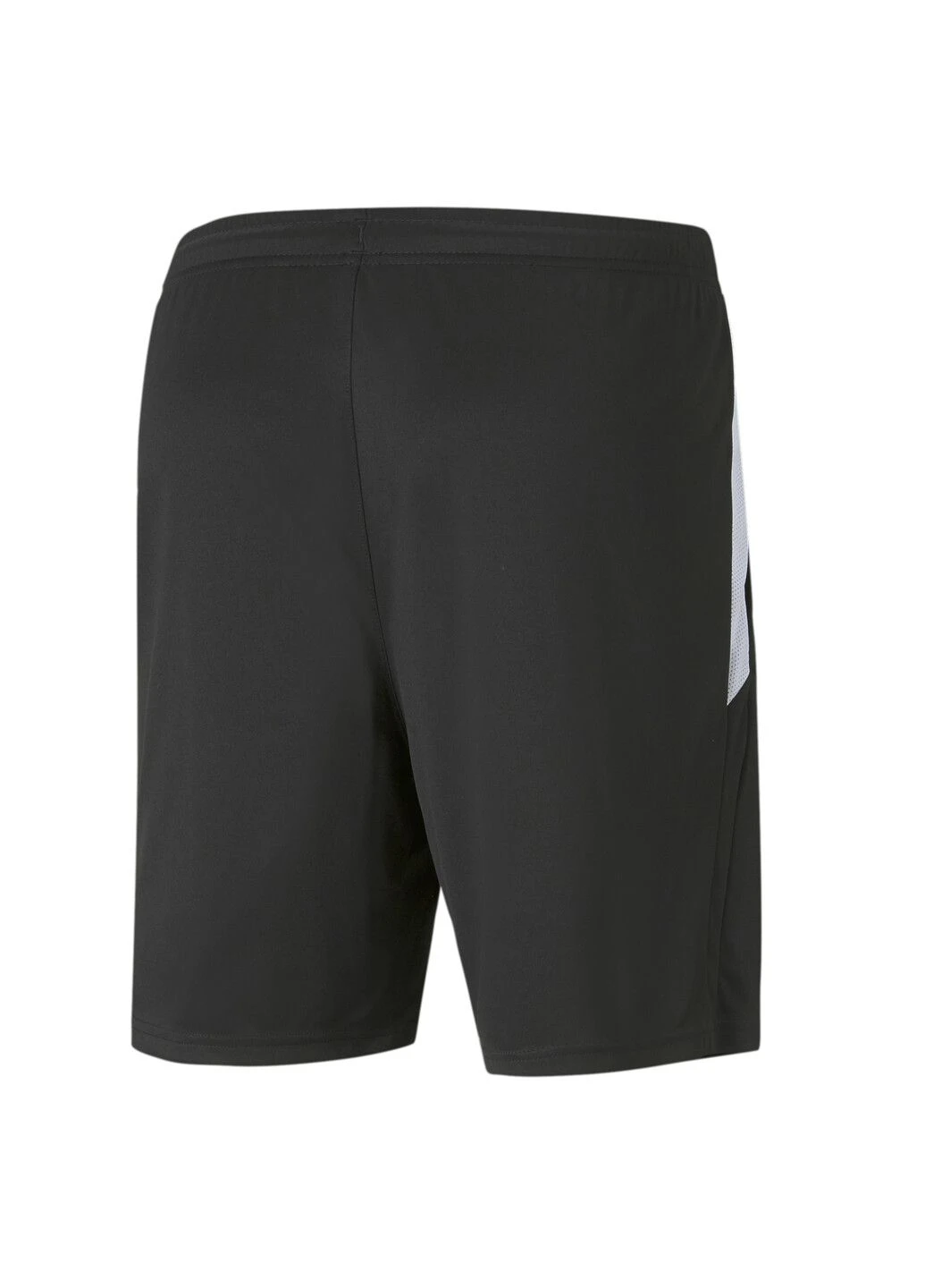 Шорти teamLIGA Training Men’s Football Shorts Puma (257558605)